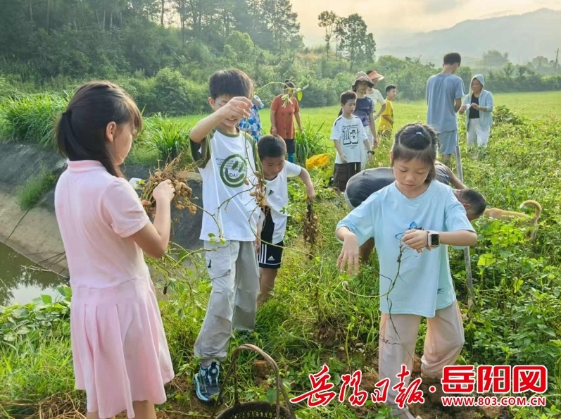 微信截图_20250923072744.jpg 微信截图_20250923072744.jpg