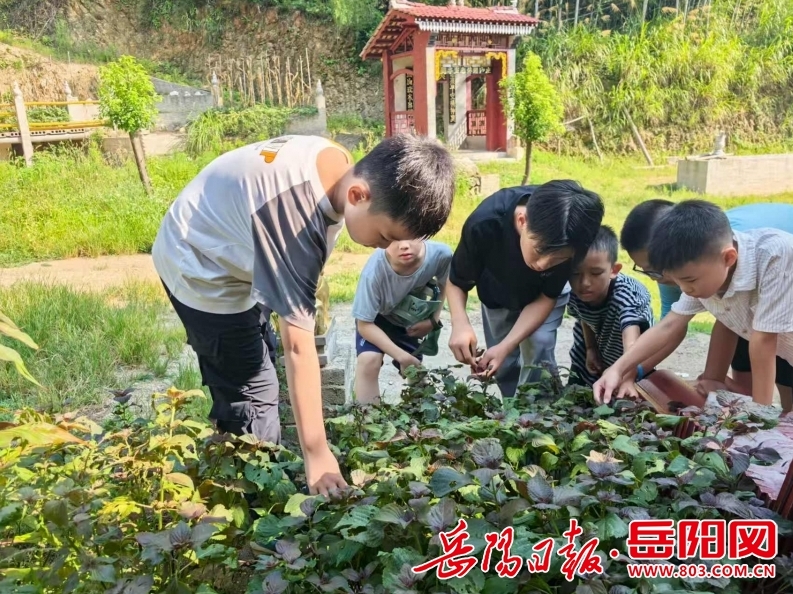 微信截图_20250923072755.jpg 微信截图_20250923072755.jpg